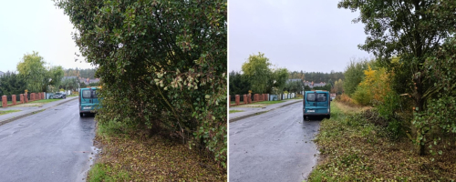 Droga powiatowa nr 1287 D Uskorz Wielki - pielęgnacja zieleni 