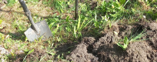 Wpusty uliczne